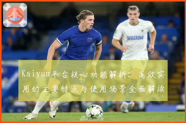 Kaiyun平台核心功能解析：高效实用的主要特点与使用场景全面解读
